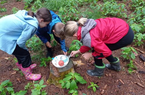 Ekocentrum Chaloupky Krátká - Dům přírody Žďárských vrchů