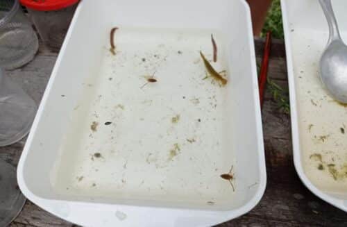 Ekocentrum Chaloupky Krátká - Dům přírody Žďárských vrchů