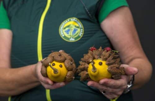 Ekovýchova Správy Krkonošského národního parku