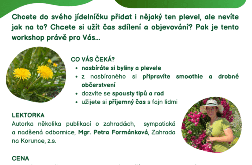 seminář BYLINY A PLEVELE