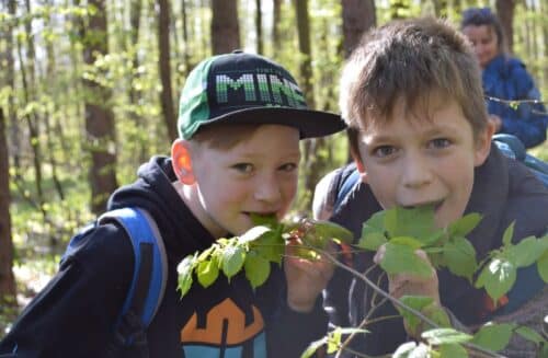 LIPKA - pracoviště Jezírko