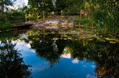 LIPKA – pracoviště Lipová