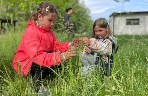 Ekocentrum VČELÍN Brniště