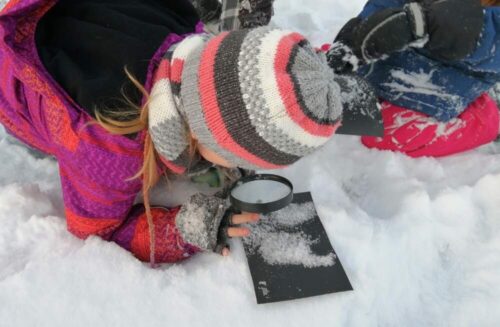 Ekocentrum VČELÍN Brniště