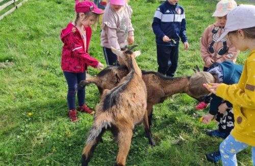 Ekocentrum VČELÍN Brniště