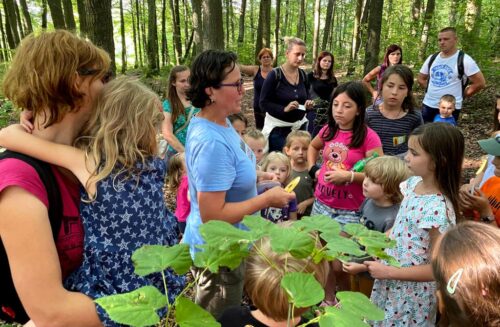 Ekocentrum Sedmihorky, SEV Český ráj