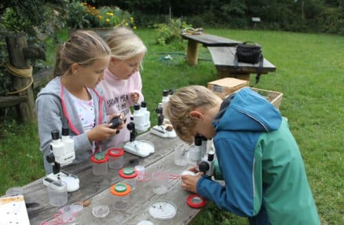 LIPKA - pracoviště Jezírko