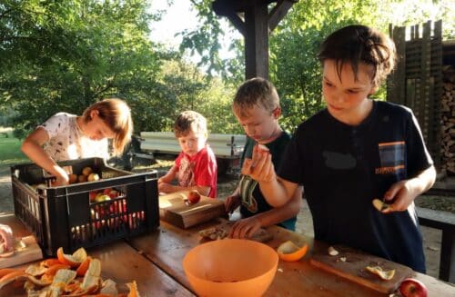 LIPKA - pracoviště Jezírko