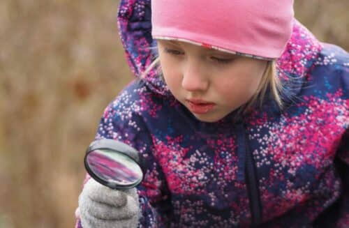 LIPKA – pracoviště Lipová