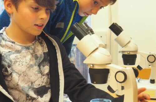 LIPKA – pracoviště Lipová