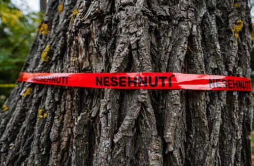 NESEHNUTÍ - NEzávislé Sociálně Ekologické HNUTÍ