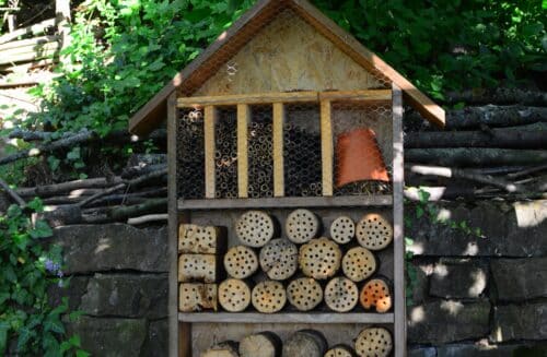 LIPKA – pracoviště Lipová