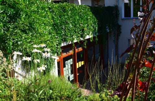 LIPKA – pracoviště Lipová