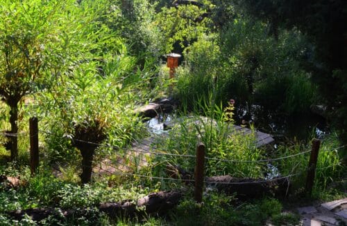 LIPKA – pracoviště Lipová