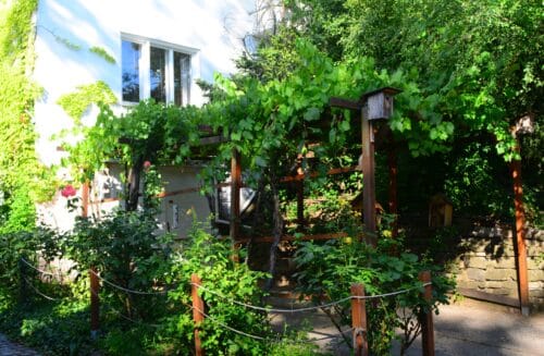 LIPKA – pracoviště Lipová