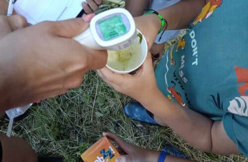 Pálečský statek, z.s.