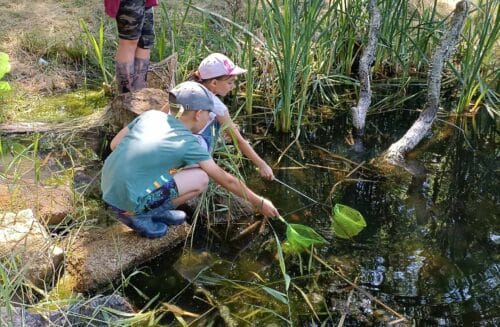 Pálečský statek, z.s.