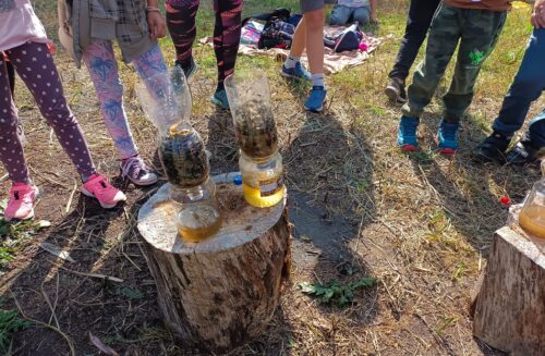 Pálečský statek, z.s.