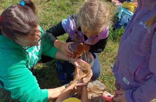 Pálečský statek, z.s.