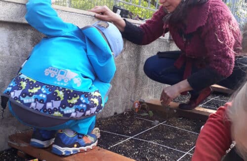 Seminář pěstování metodou Čtverečková zahrádka 2.3.2024