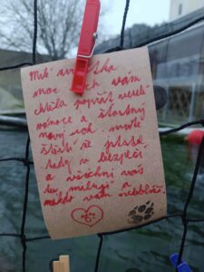 Silvestr bez rachejtlí