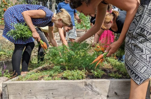 Malá Jižní stráň