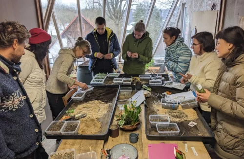 Malá Jižní stráň