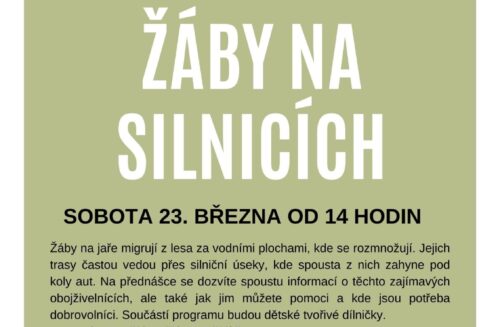 Zachraňme žáby na silnicích