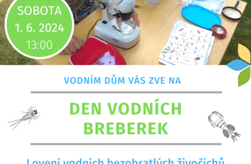 Den vodních breberek