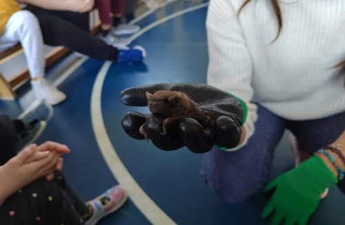 ZO ČSOP JARO JAROMĚŘ