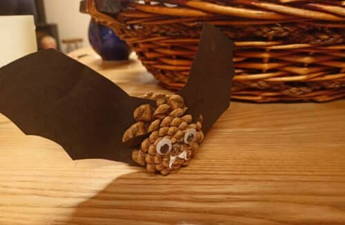 Mezinárodní noc pro netopýry