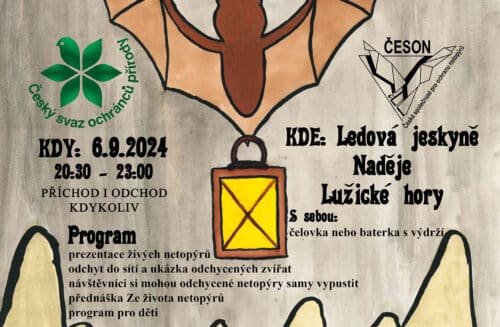Netopýří noc