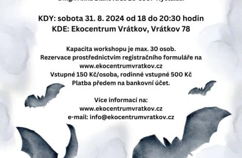 Mezinárodní noc pro netopýry