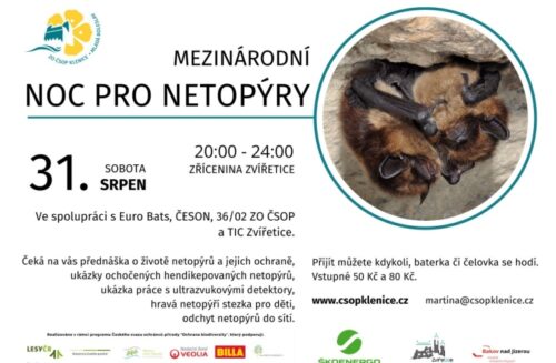 MEZINÁRODNÍ NOC PRO NETOPÝRY