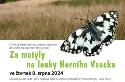 Za motýly na louky Horního Vsacka