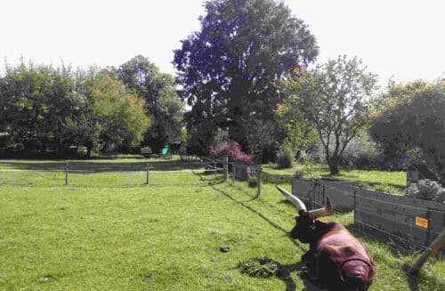 Přírodovědná stanice