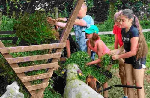 Přírodovědná stanice