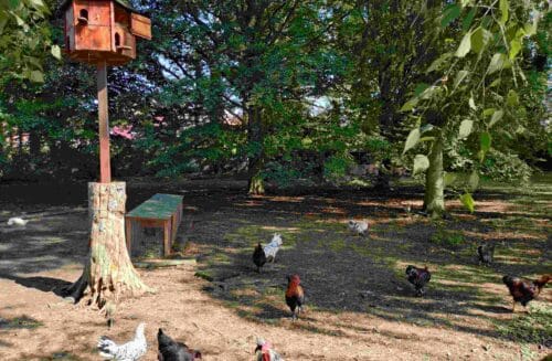 Přírodovědná stanice