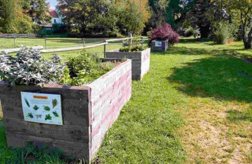 Přírodovědná stanice