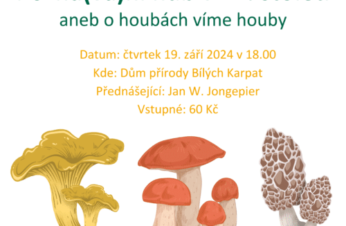 Pozná(vá)ní hub v 21. století, aneb o houbách víme houby