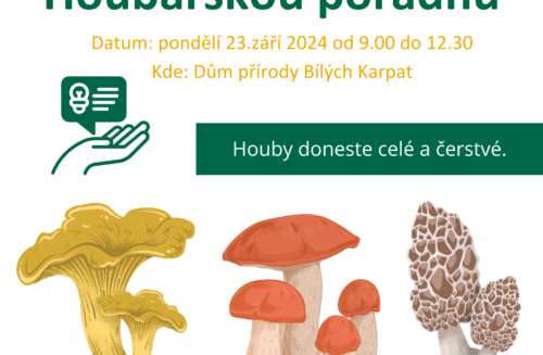 Houbařská poradna v Bílých Karpatech