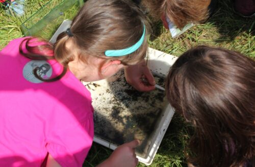Ekocentrum Českého svazu ochránců přírody Kynšpersko