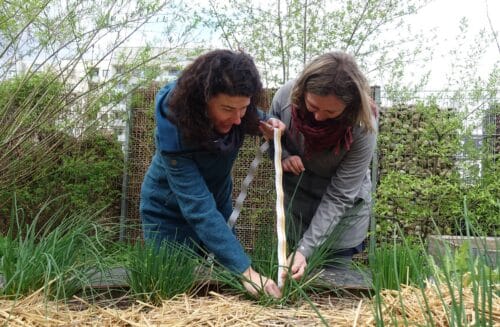 Venkovní výuka – jak na to skrze badatelství?