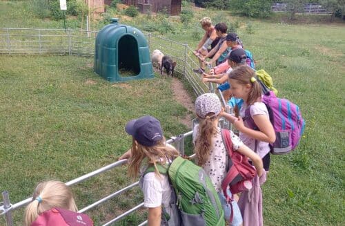 TVOŘÍME A UČÍME SE S PŘÍRODOU – letní příměstský tábor