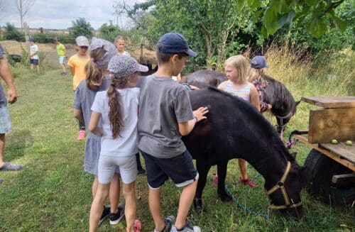 TVOŘÍME A UČÍME SE S PŘÍRODOU – letní příměstský tábor