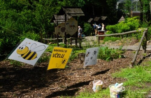 Výukové programy pro školy a doprovodné akce pro veřejnost v Zoo Ostrava