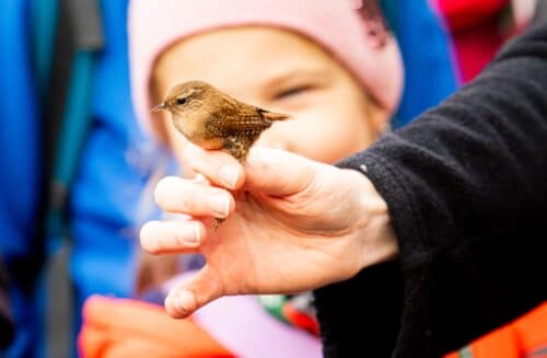 Výukové programy pro školy a doprovodné akce pro veřejnost v Zoo Ostrava