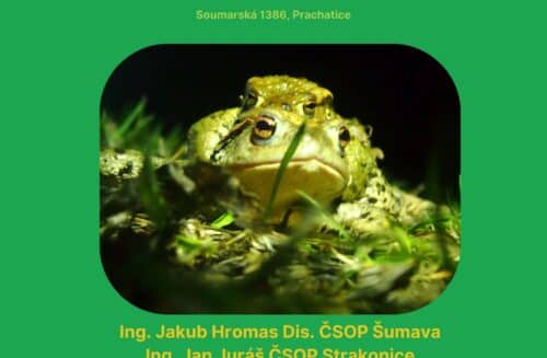 Záchranné přenosy obojživelníků - přednáška + zahájení putovní výstavy