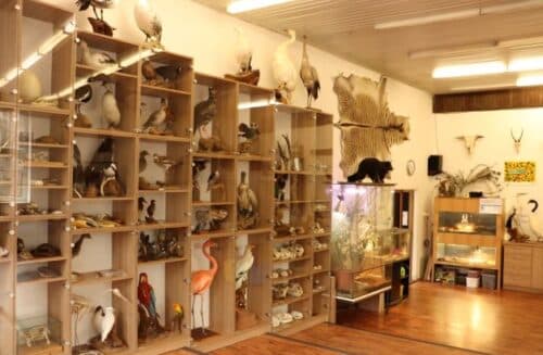 Výukové programy pro školy a doprovodné akce pro veřejnost v Zoo Ostrava