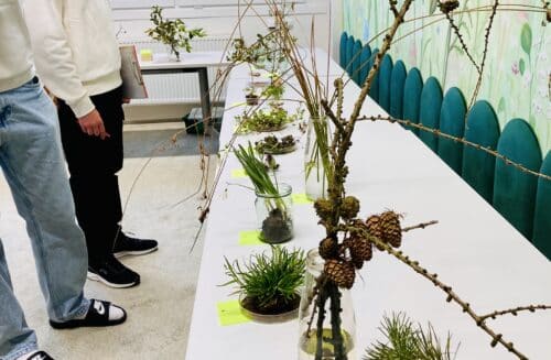 CEV Dřípatka při DDM Prachatice